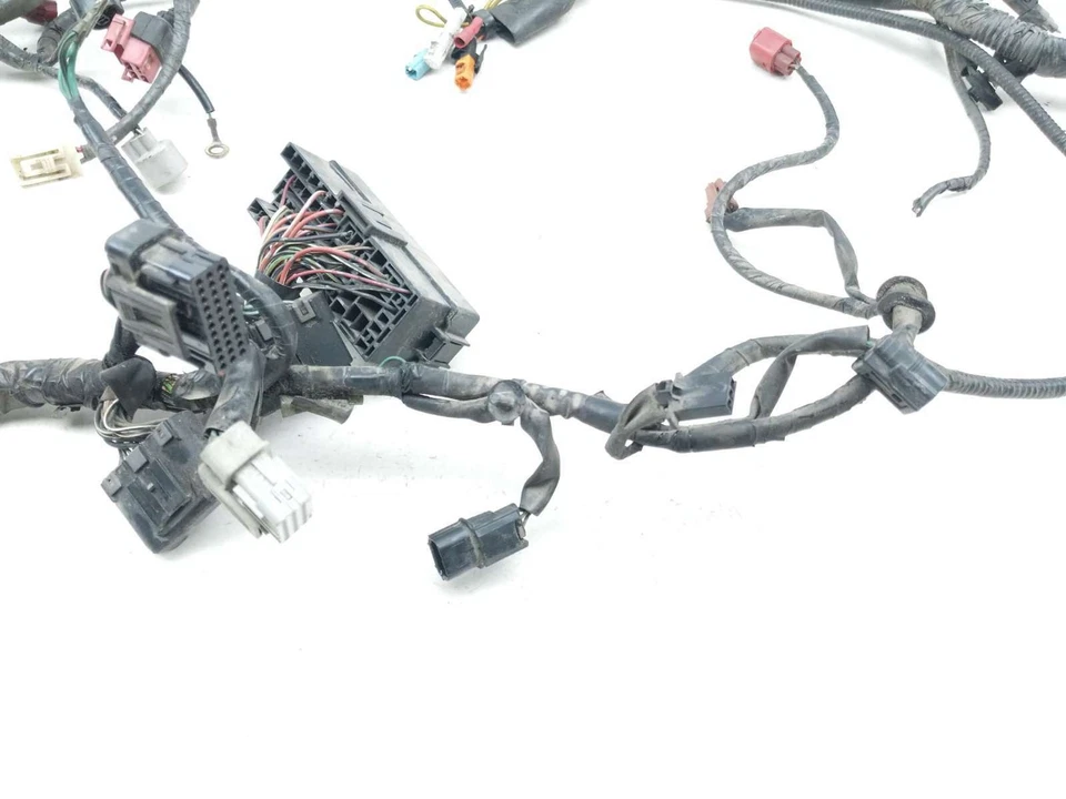 Telar arnés de cableado principal 10 Honda Fury VT1300 CX Foto 4 de 4