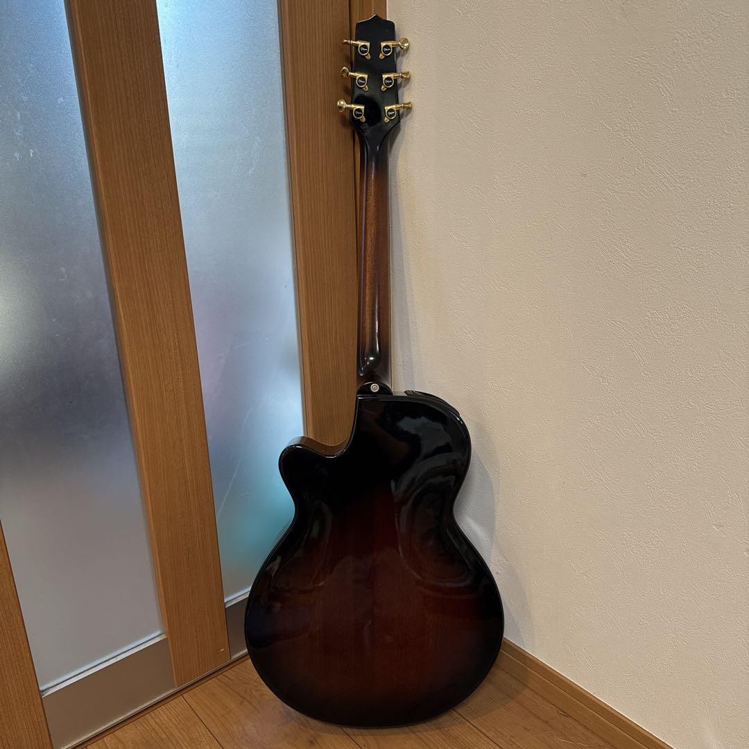 TAKAMINE DSP－110