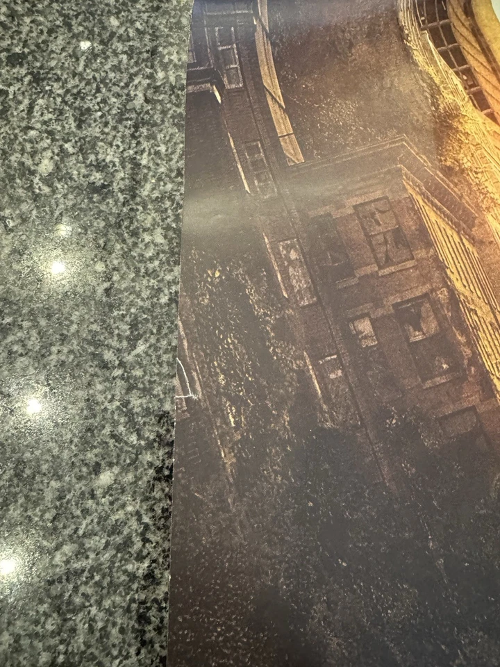 THE LAST OF US PART I 2013 Ps 3 Promotion Poster Rare!! 42cm*59cm - Bild 3 von 3