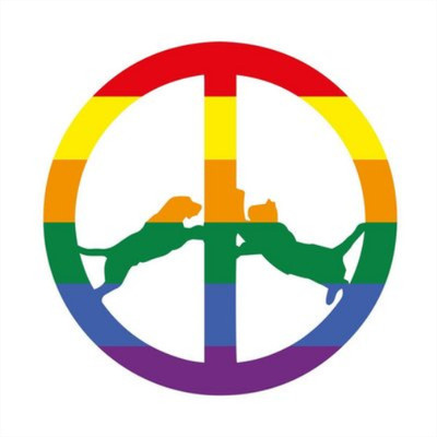 Hype Williams Rainbow Edition (CD) Album