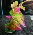 Foto 14 di 15