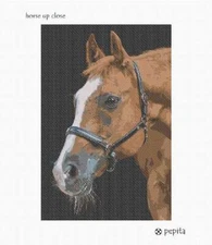 Horse Up Close Needlepoint Kit or Canvas
