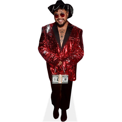 Francis Dominic (Red) Life Size Cutout