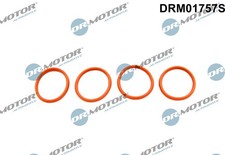 DICHTUNGSSATZ, ANSAUGKRÜMMER FÜR PEUGEOT - DR.MOTOR AUTOMOTIVE DRM01757S