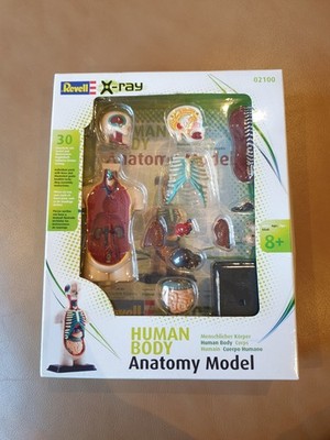Revell X-Ray 2011 Human Body Anatomy Model, 30 Teile, Maßstab 1:9, 02100