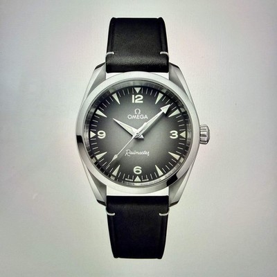 Omega Railmaster 38mm - Unworn With Box And Papers