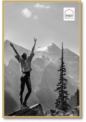 Haes Deco Kunststoff-Fotorahmen EF9G Easy Frame Gold 40x60 cm MDF Rückwand