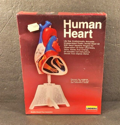 BRAND NEW VINTAGE LINDBERG HUMAN HEART SCIENCE MODEL KIT 71338 Made in USA NIB