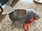 2026 NEW San Diego Zoo Safari Park Popcorn Bucket Limited Edition Rhinosaurus — photo 5