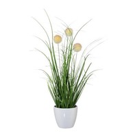 artplants Deko Wollgras Borfi Im Dekotopf, Rispen, Creme-Rosa, 35Cm