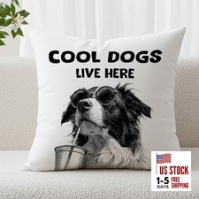 Funny Dog Border Decorative Throw Pillow Covers, Cool Dogs Live Here Collie