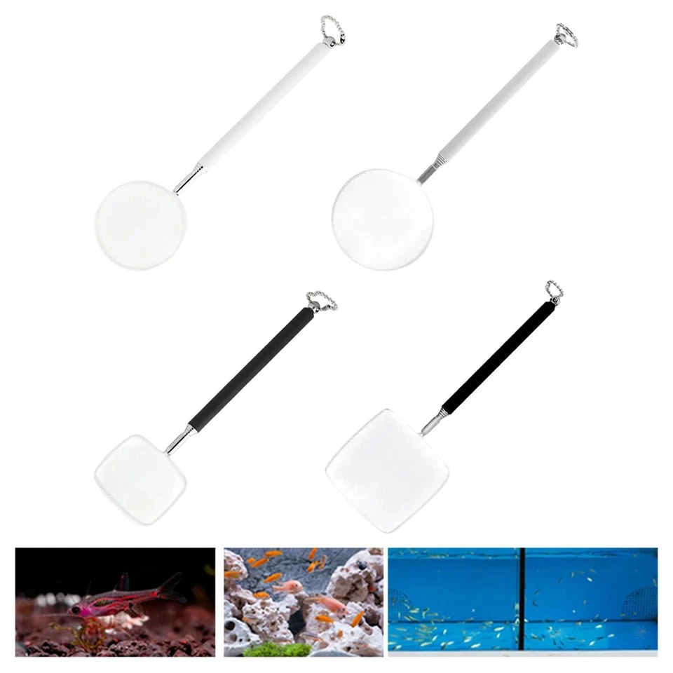 Aquarium Net Télescopique Handle Tanks de pêche Net pour petits bassins de