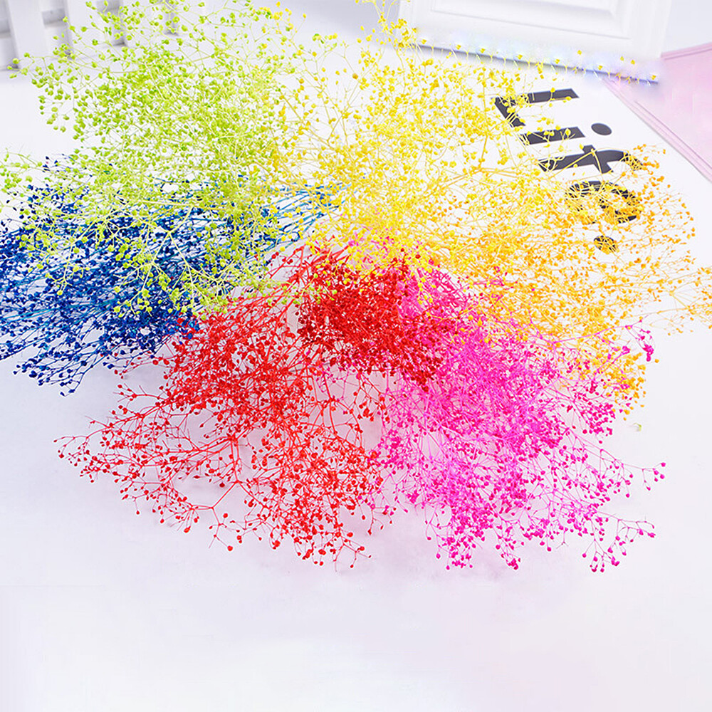 1G Dried Flowers Aromatherapy Gypsophila Ornament DIY Making Grass Craft Decor-image