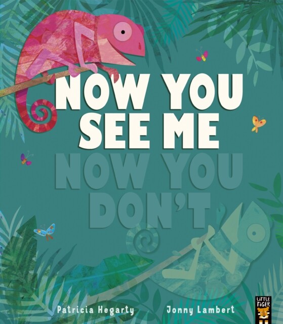 Now You See Me, Now You Don’t 9781788816885 - Free Tracked Delivery