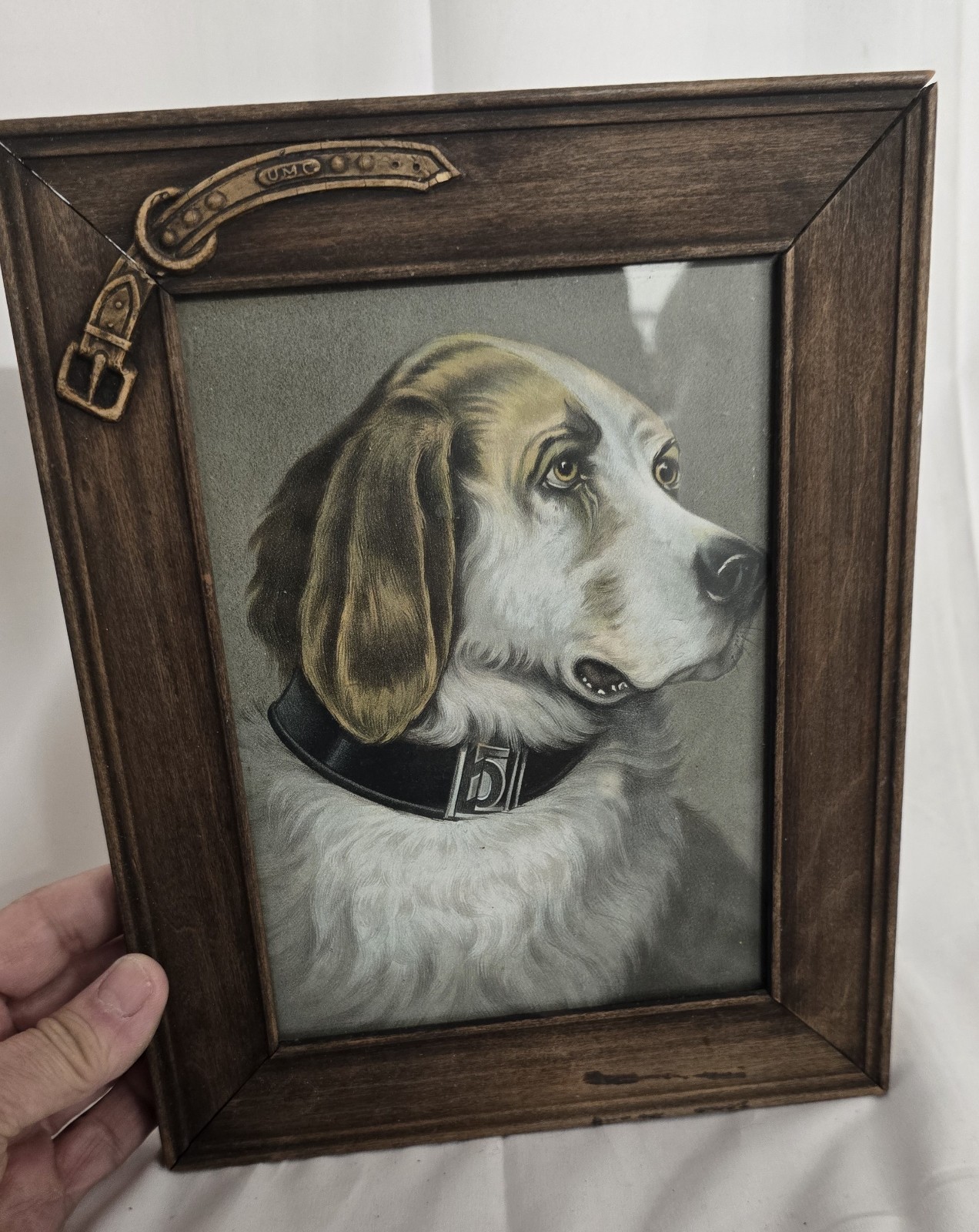 Scarce Antique UMC Hunting Dog Litho in Orig Belt Horseshoe  Frame Early 1900s