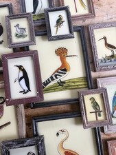 Bird Reverse Glass Paintings