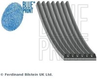 Blue Print AD07R2050 Keilrippenriemen Keilriemen