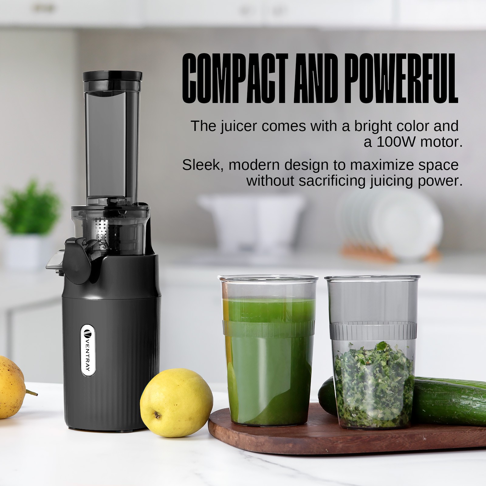 Ventray Essential Ginnie Juicer Small Cold Press Juicer with 60RPM Low Speed
