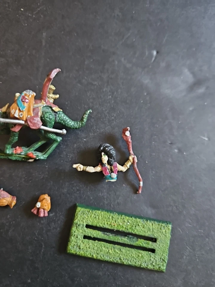 Dark Elf Elves MM74 Heroes Marauder Sorceress Cold One Rider Warhammer Fantasy  - Image 3 of 4