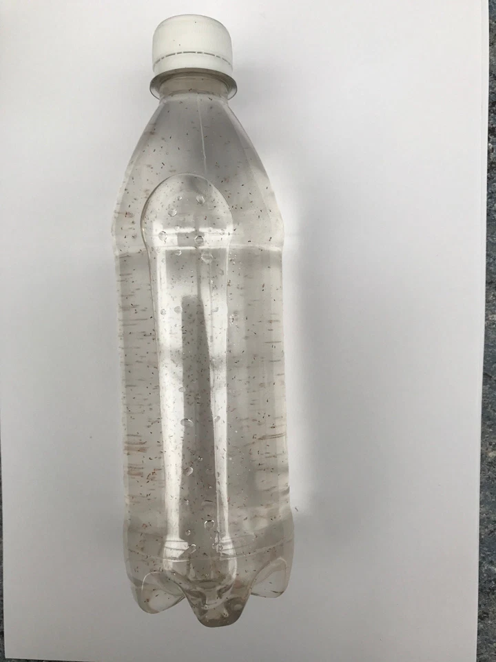 1000 ml Hoch Konzentrat copepods Koralle Futter - Bild 2 von 4