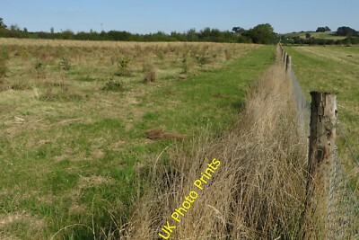 Photo 6x4 Recent planting for the National Forest Hartshorne  c2015