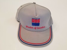 Vintage ABS Master Of Genetics Snapback Hat Cap Kap King Gray Blue Red USA Made