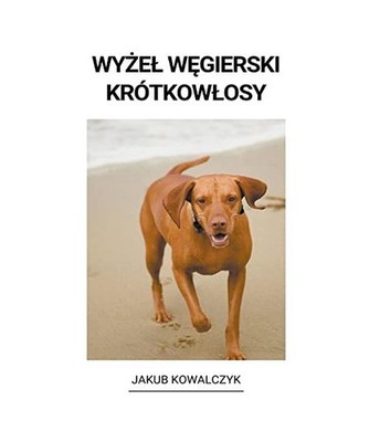 Wy¿e¿ W¿gierski Krótkow¿osy, Kowalczyk, Jakub