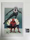 Amazing Spider-Man #9 (2019) Mike Wieringo 1:100 Virgin Black Cat Variant