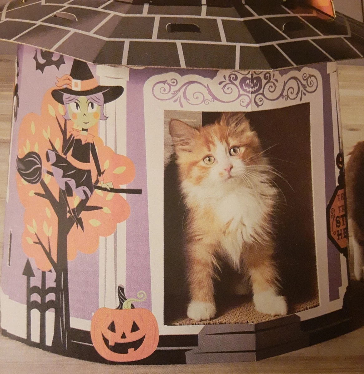 Target cat halloween house 2025