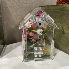 Complete Jumping Spider Enclosure