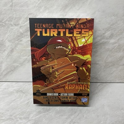 The Loyal Subjects TMNT BST AXN Raphael Actionfigur