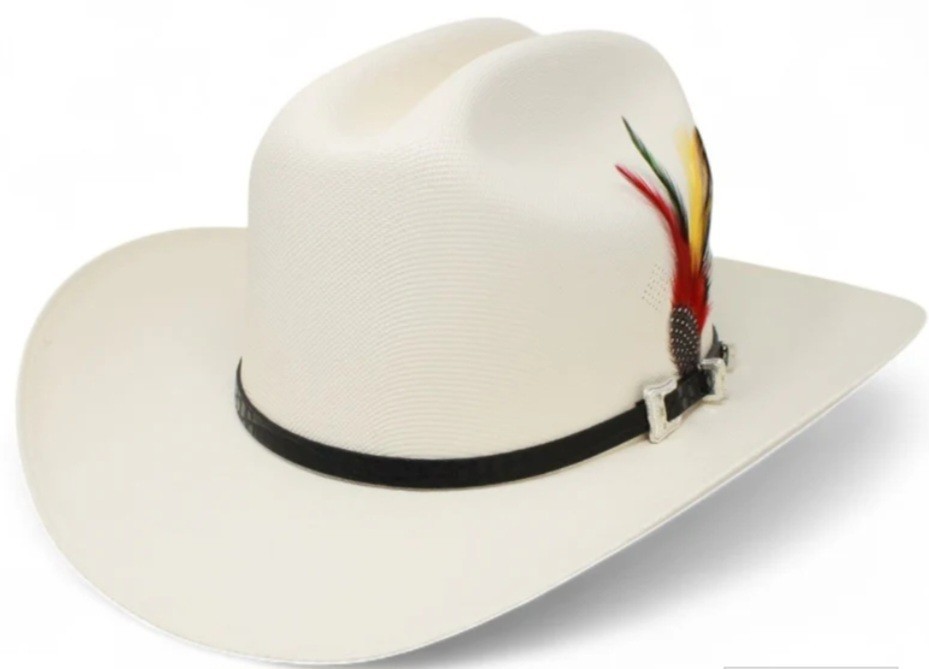 "Tombstone 1000X Sombrero de Vaquero Estilo Sinaloa con Plumas | Ala de 3.5"""