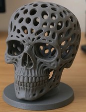 Headphones Stand Skull