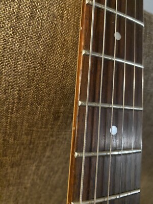 Steinberger Spirit GU Deluxe | eBay