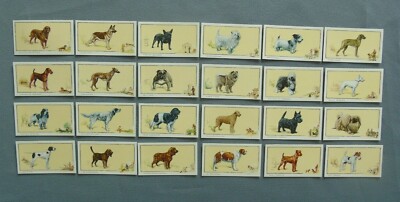 Gallaher Satz 24 Hunde Bildunterschriften in Blockbriefen 1934 - sehr gut 