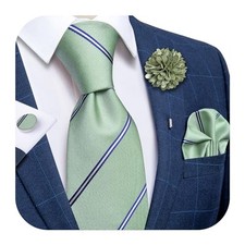 Silk Ties for Men Necktie and Lapel Pin Brooch Set Formal Sage Green and Blue