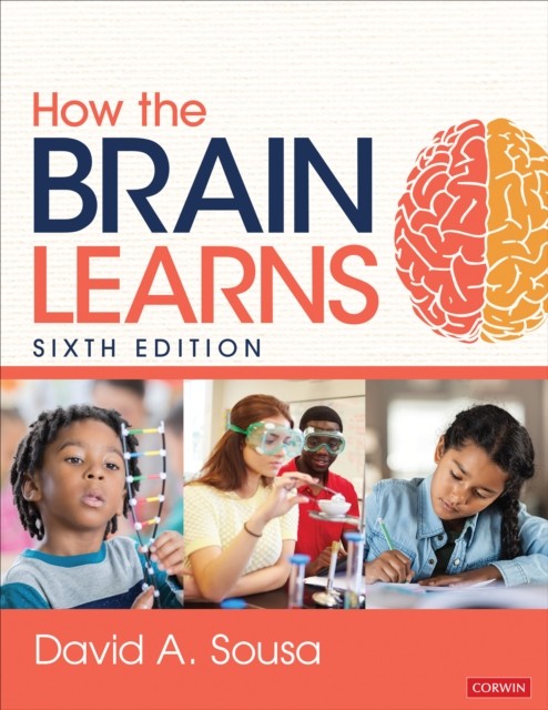 How the Brain Learns by David A. Sousa (Paperback Book)
