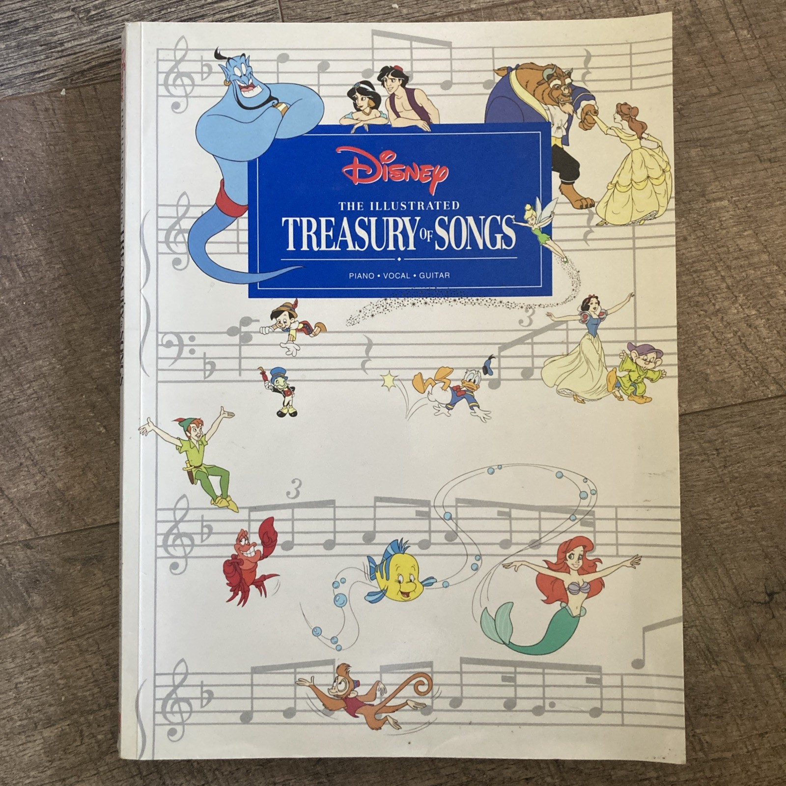 Disney The Illustrated Treasury of Songs - Piano Vocal Guitar Music - 256 Pages