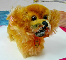 Vintage Steiff Dog Peky W/ Tag Button all IDs Very Nice Display W/ Baby Doll