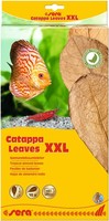 SeemandelbaumbläTter XXL 10St 30-35Cm sera Catappa Leaves NatüRliche