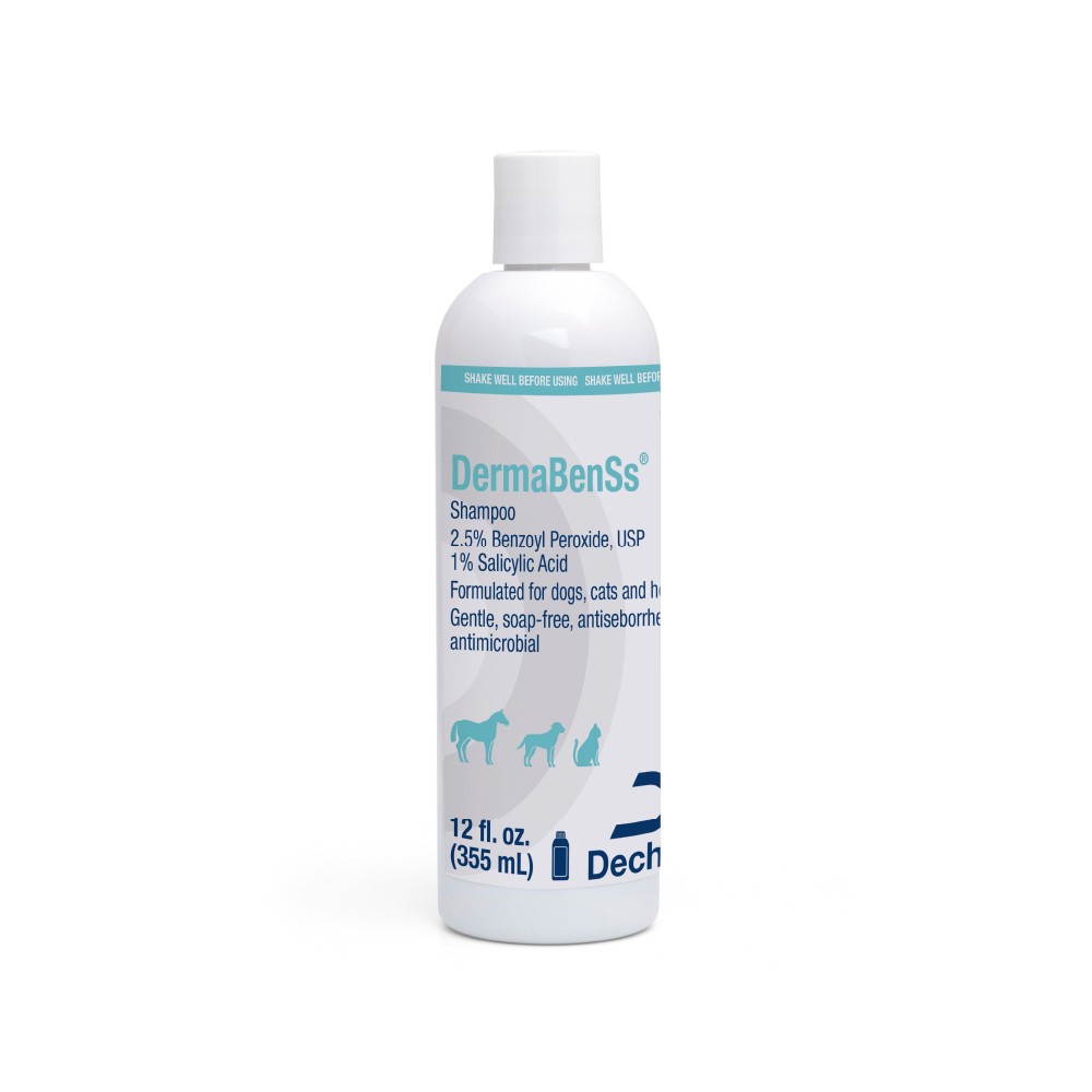 For Dogs, Cats, And  Horses