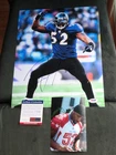 Ray Lewis Hot! signed Baltimore Ravens HOF 11x14 photo PSA/DNA cert PROOF!!