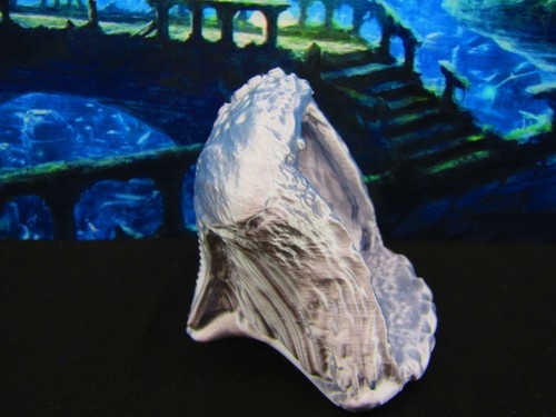 Mermaid Nest Clam Shell Scatter Terrain Scenery 3D Printed Mini Miniature Model - Picture 5 of 7