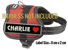 2 pcs XS Personalised EMBROIDERED NAME PATCHES tag ID label fits k9 dog harness
