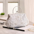 Bead Sequined Bead-embroidered Evening Wedding Bag Clutch Vintage handmade bag
