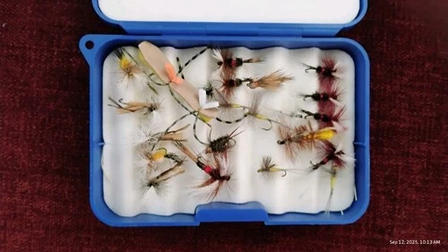 Vintage White River Fly Fishing Flies Lot With Case