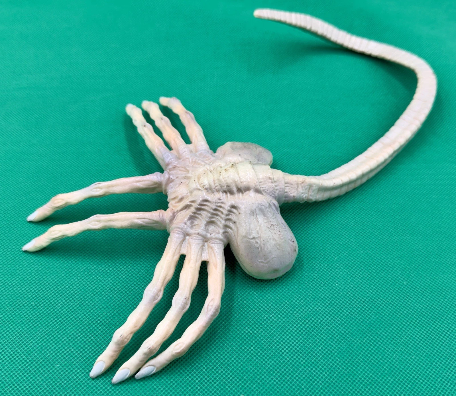 Alien Resurrection Facehugger photo 2