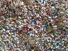 INDEPENDENT'S CHOICE FEED® FORTIFIED NO SUNFLOWER COCKATIEL SEED 20LBS BIRD FOOD