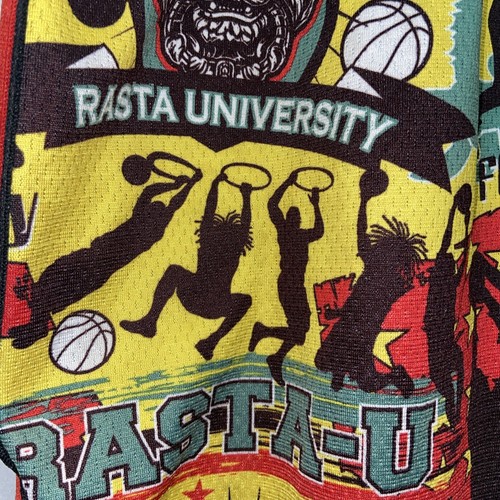 Flow Hoops Youth Medium Basketball Shorts Rasta University L15 - Picture 2 of 10