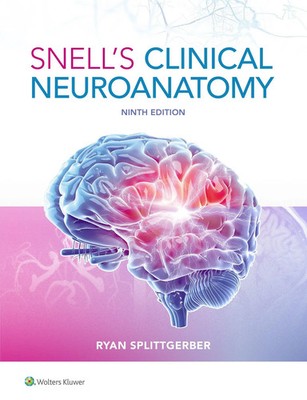 Snell's Clinical Neuroanatomy | Ryan Splittgerber | Taschenbuch | Englisch